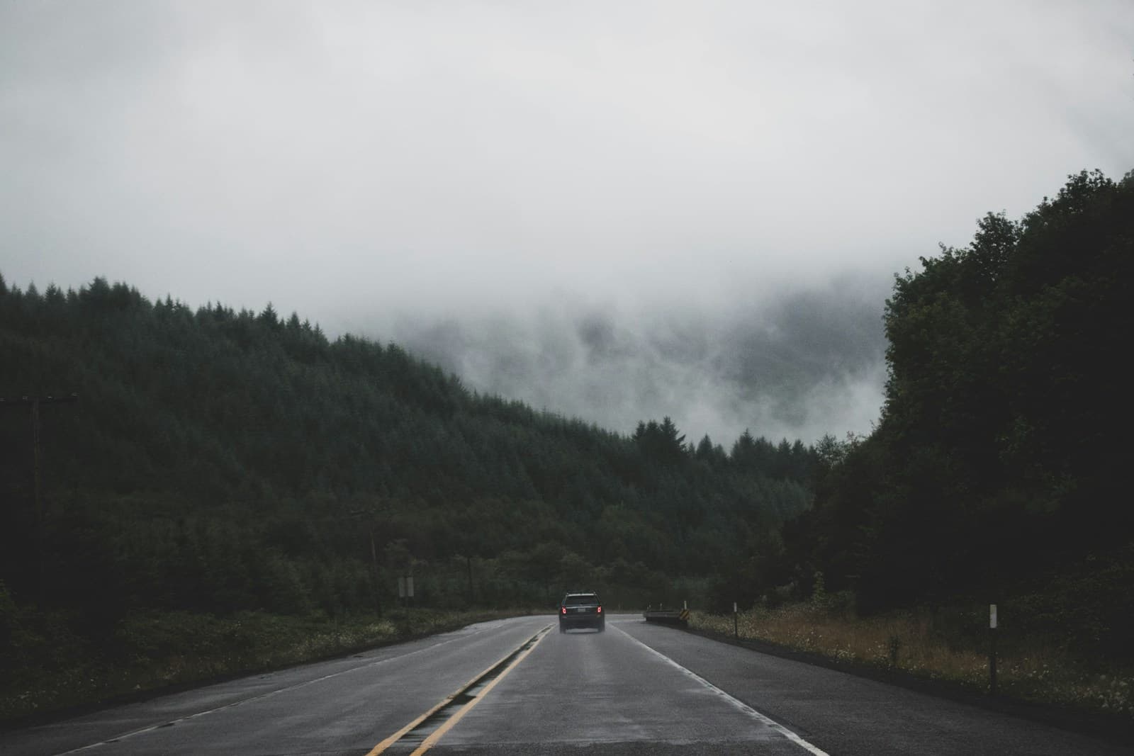 Empty mountain highway through forested valley with misty clouds and overcast sky